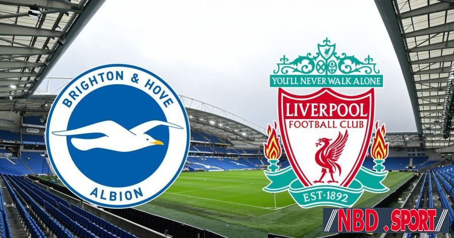 Match Today: Liverpool vs Brighton 14-01-2023 English Premier League